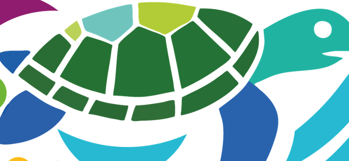 Illustration of a sea turtle
