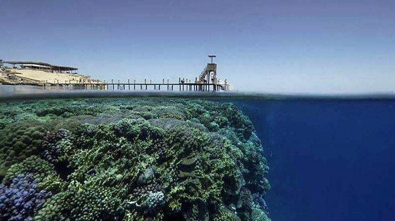 Split-level view of a reef wall beside a dive jetty