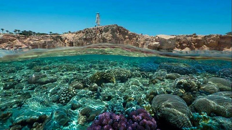 Split-level view of a shallow coral reef below a lighthouse on the Sharm El Sheikh coast